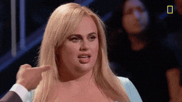 每日GIF(2020-06-14)的gif-Rebel Wilson Omg GIF by National Geographic Channel