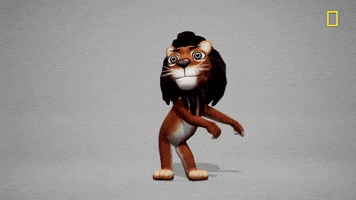 每日GIF(2020-06-14)的gif-Brain Games Tiffanyhaddish GIF by National Geographic Channel