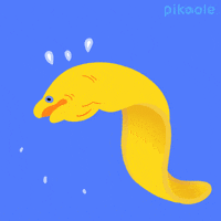 每日GIF(2020-06-15)的gif-Marine Life No GIF by pikaole