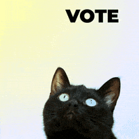 每日GIF(2020-06-16)的gif-Voting Election Day GIF by Anne Lee