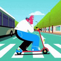 每日GIF(2020-06-16)的gif-Bird City GIF by ELMØ