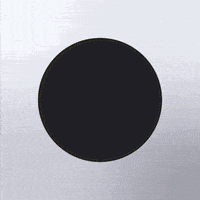 每日GIF(2020-06-17)的gif-Rainbow Gay GIF by INTO ACTION
