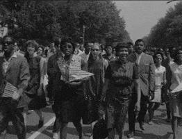 每日GIF(2020-06-20)的gif-marching civil rights GIF
