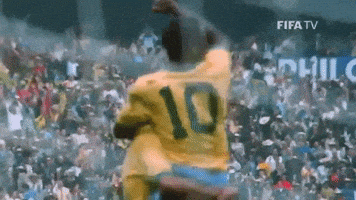每日GIF(2020-06-20)的gif-World Cup Yes GIF by FIFA