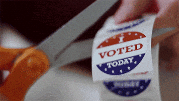 每日GIF(2020-06-24)的gif-Voting Rights GIF by SundanceNOW DocClub