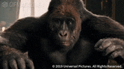 映画「ドクター・ドリトル」【公式】的gif的gif-見てられない！