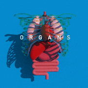 のんたん的gif的gif-ORGANS