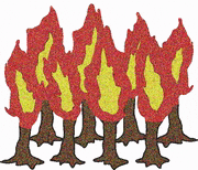 Bumei的gif的gif-Bushfires