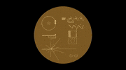 mae的gif的gif-voyager golden record