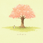 shiro的gif的gif-sakura