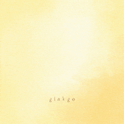 shiro的gif的gif-ginkgo