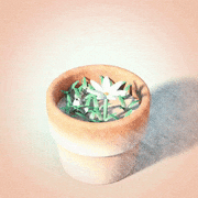 Reiko Katayama 方山れいこ的gif的gif-flower