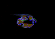 ふじさきてる的gif的gif-ねずみたぬきぞうメタモル