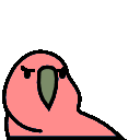 パーティーパロット【公式】的gif的gif-angry parrot