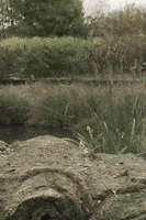 每日GIF(2020-07-21)的gif-Awkward Uh Oh GIF