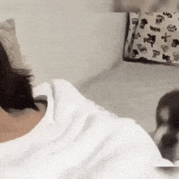 每日GIF(2020-07-21)的gif-Mood Wow GIF by JustViral