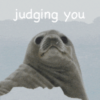 每日GIF(2020-07-21)的gif-Blink Reaction GIF by OceanX