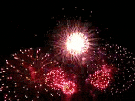 每日GIF(2020-07-21)的gif-4Th Of July Fireworks GIF