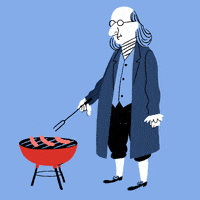 每日GIF(2020-07-21)的gif-4Th Of July Animation GIF by davidsaracino