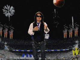 每日GIF(2020-07-21)的gif-Super Bowl Football GIF by Tommy Wiseau