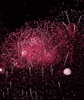 每日GIF(2020-07-21)的gif-4Th Of July America GIF
