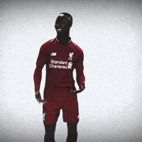 每日GIF(2020-07-23)的gif-Premier League Dance GIF by Liverpool FC
