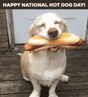 每日GIF(2020-07-23)的gif-National Hot Dog Day GIF by GIFiday