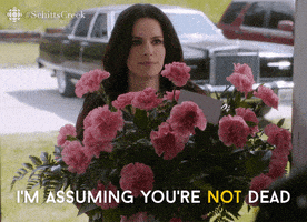 每日GIF(2020-07-24)的gif-Schitts Creek Comedy GIF by CBC