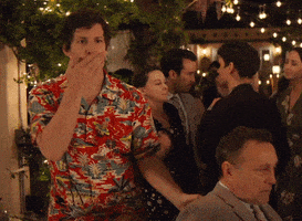 每日GIF(2020-07-24)的gif-Leaving Andy Samberg GIF by HULU