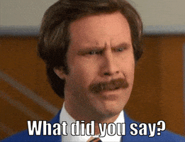 每日GIF(2020-07-24)的gif-Ron Burgundy What GIF