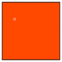 每日GIF(2020-07-24)的gif-Voting Black Lives Matter GIF by Creative Courage
