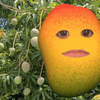 每日GIF(2020-07-24)的gif-No Way Omg GIF by Martha of Miami