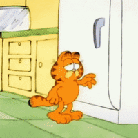 每日GIF(2020-07-24)的gif-Donald Trump GIF by INTO ACTION