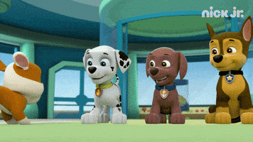每日GIF(2020-07-25)的gif-High Five Paw Patrol GIF by Nick Jr