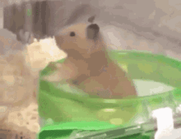 每日GIF(2020-07-27)的gif-Funny GIF by MOODMAN