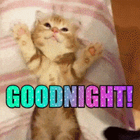 每日GIF(2020-07-29)的gif-Kitten Tuck In GIF by MOODMAN