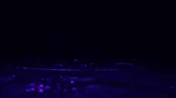 每日GIF(2020-07-30)的gif-Thats Cool GIF