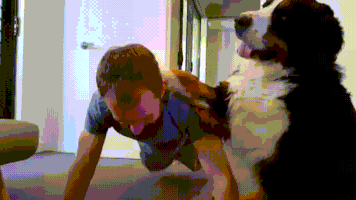 每日GIF(2020-07-31)的gif-Training Coach GIF