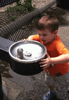 每日GIF(2020-08-01)的gif-Water Fail GIF by America's Funniest Home Videos