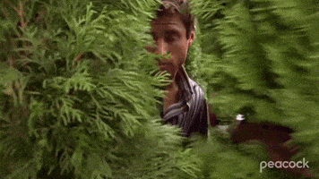 每日GIF(2020-08-01)的gif-Shawn Spencer Trees GIF by PeacockTV
