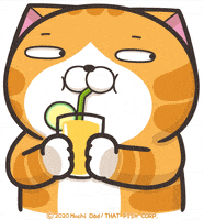 每日GIF(2020-08-02)的gif-Cat Lol GIF by MochiDad