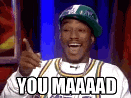 每日GIF(2020-08-02)的gif-You Are Mad GIF