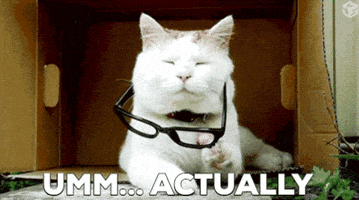 每日GIF(2020-08-04)的gif-Cat Glasses GIF by Leroy Patterson