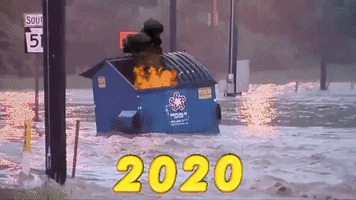 每日GIF(2020-08-05)的gif-2020 GIF by MOODMAN
