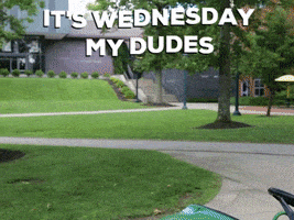 每日GIF(2020-08-06)的gif-Drive Driving GIF by Allegheny College
