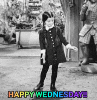 每日GIF(2020-08-06)的gif-Happy Wednesday GIF by MOODMAN