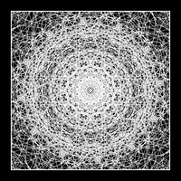 每日GIF(2020-08-06)的gif-Black And White Loop GIF by xponentialdesign