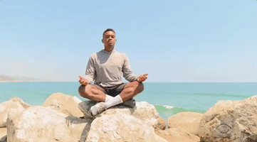 每日GIF(2020-08-07)的gif-Yoga David GIF by Big Brother