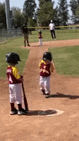 每日GIF(2020-08-08)的gif-Slow Motion Baseball GIF