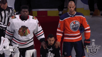 每日GIF(2020-08-08)的gif-Kneel Ice Hockey GIF by NHL